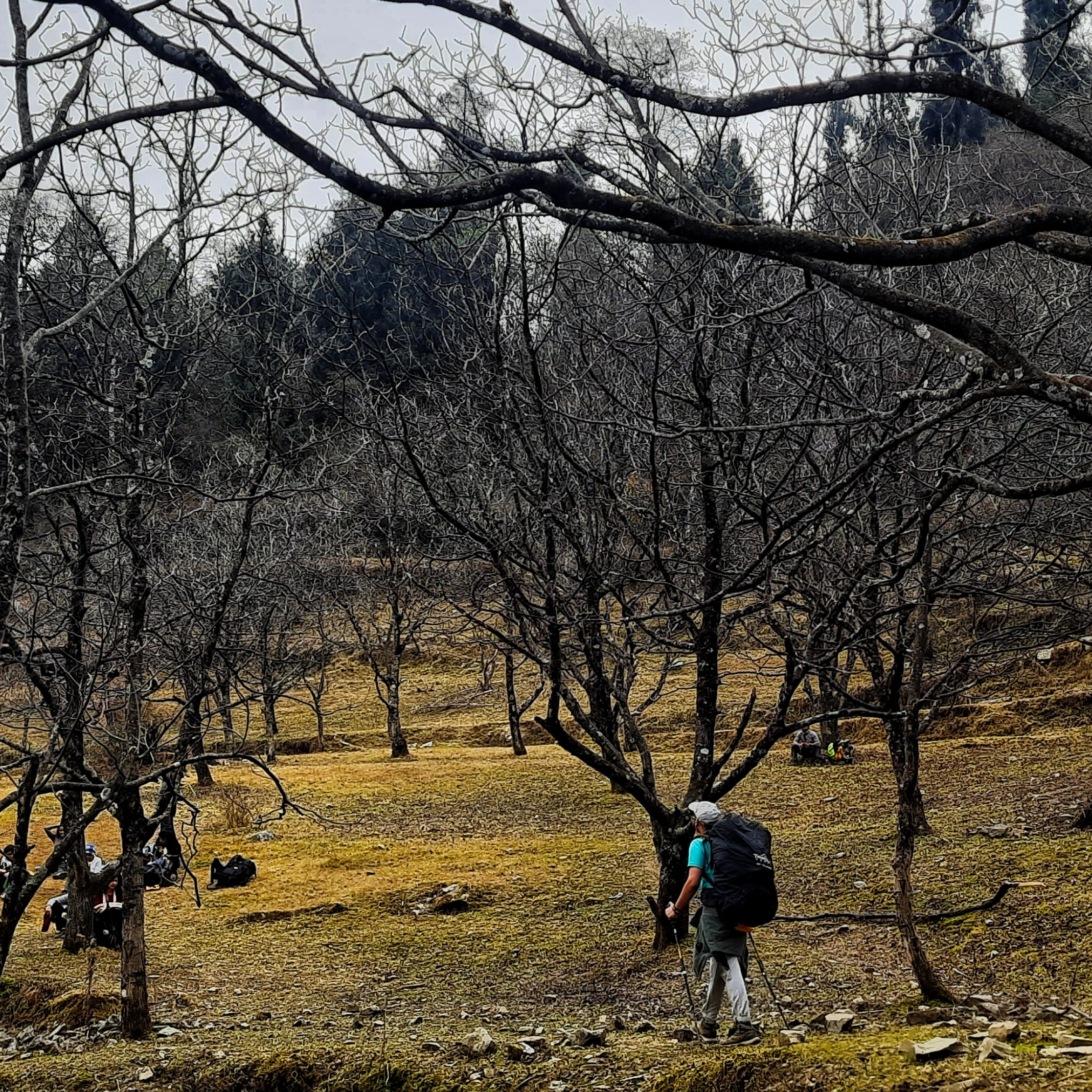 Aancha Top Trek
