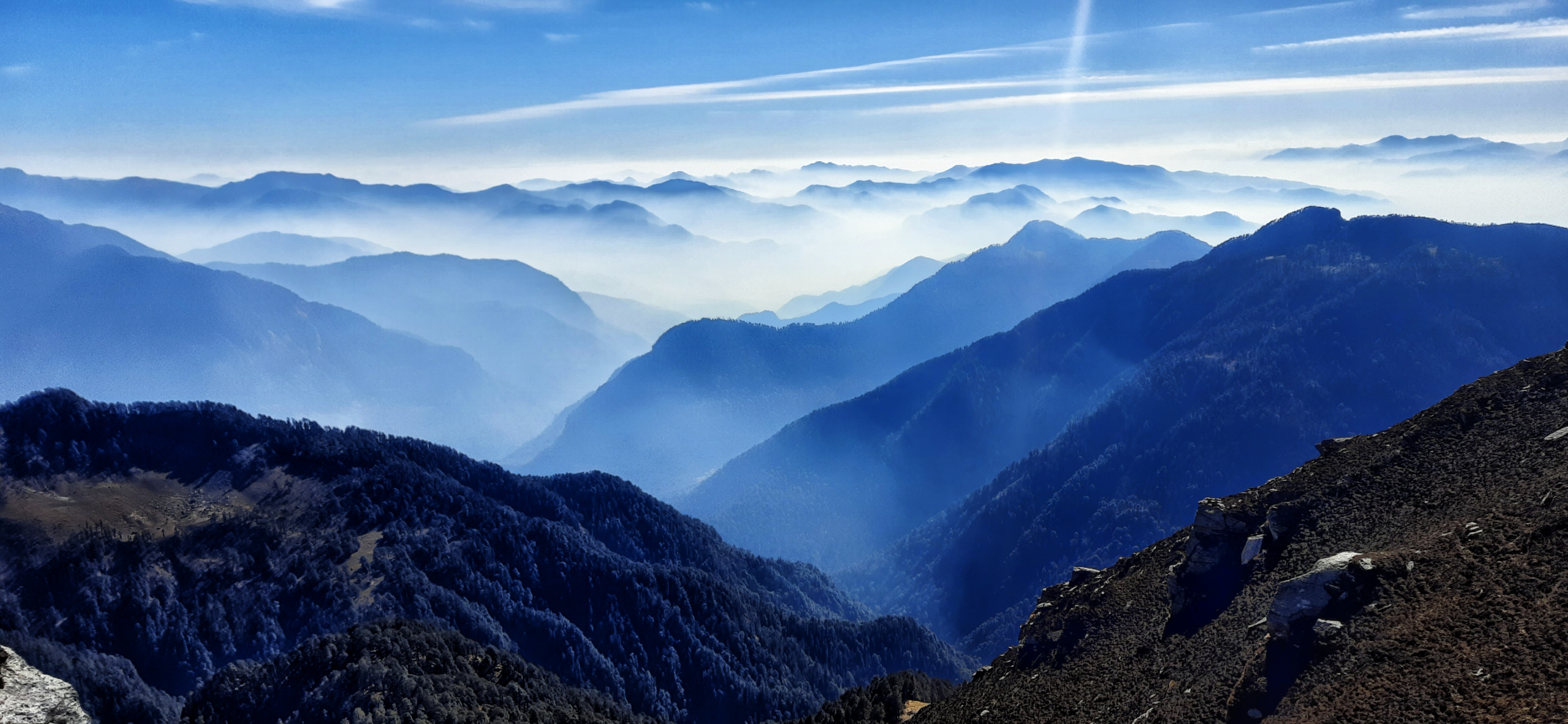 Forest trail section on Aancha Top Trek