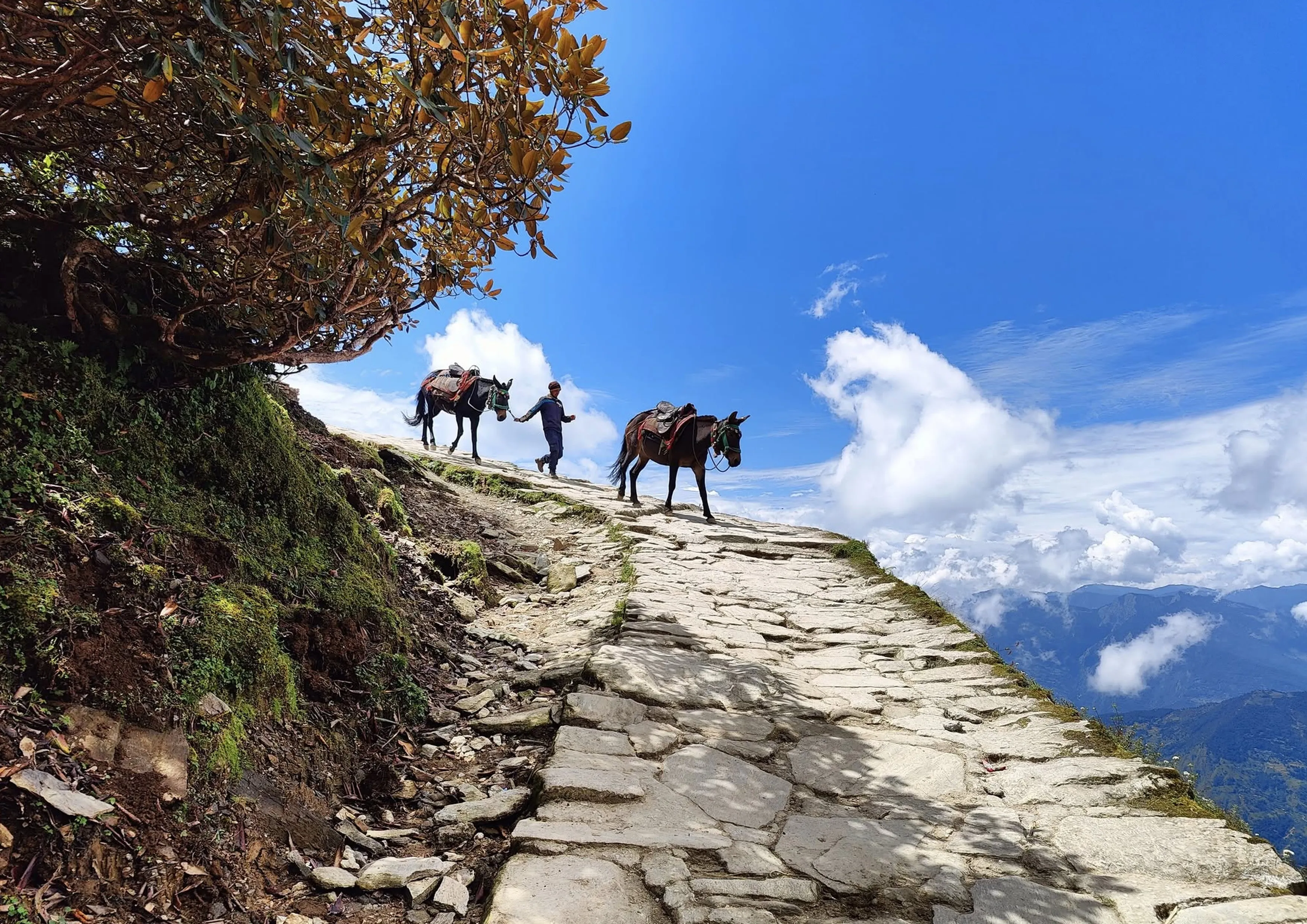 Tungnath Temple